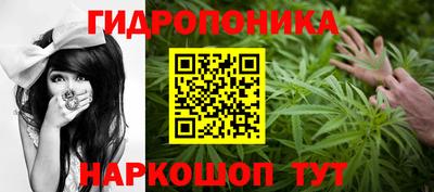 a pvp Кулебаки