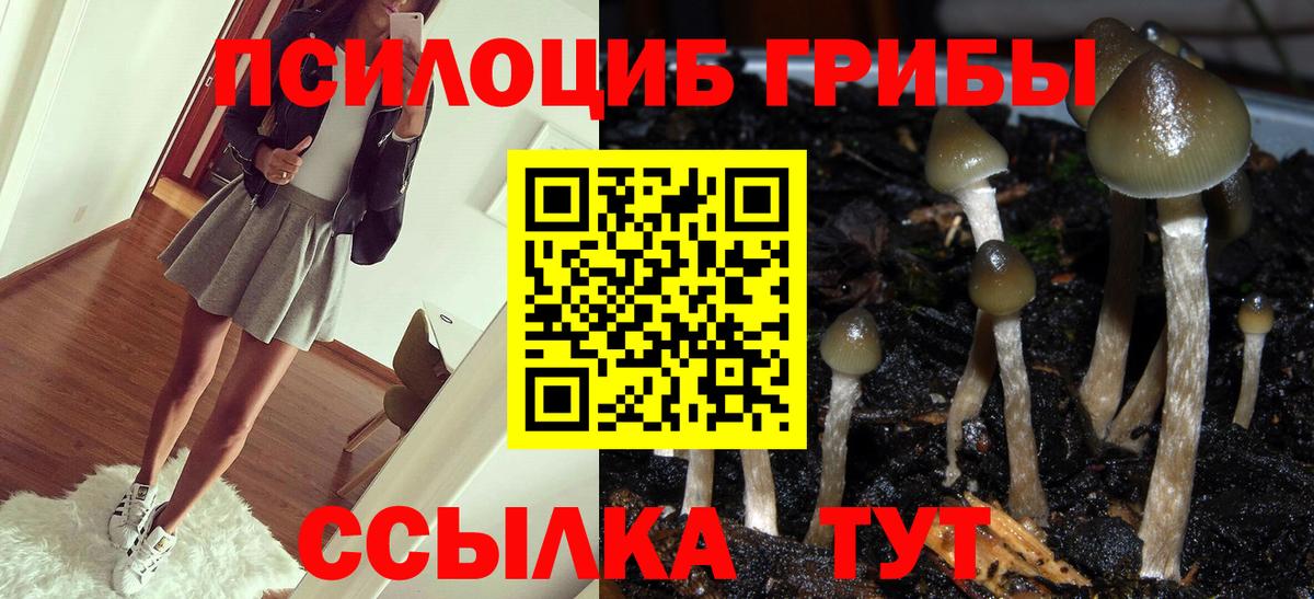 Вязьма  Галлюциногенные грибы Psilocybe  Вход с VPN  Галлюциногенные грибы Cubensis 